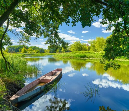 To już końcówka wakacji. Wykorzystaj je na maksa w przepięknej Dolinie Baryczy Dolina Baryczy