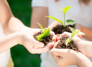 Jutro bijemy Zielony Rekord Polski. Weź udział!
