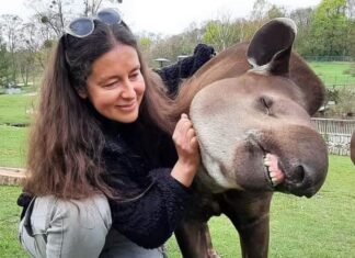 „Ktoś, nie coś” – pierwsza odsłona wyjątkowego festiwalu we Wrocławiu