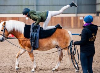 Ferie Wrocław 2025: ferie jeździeckie na Partynicach