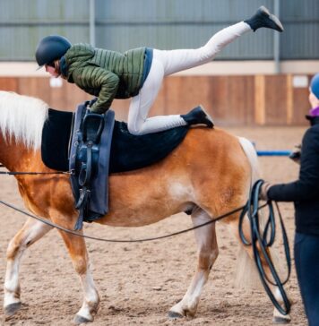 Ferie Wrocław 2025: ferie jeździeckie na Partynicach