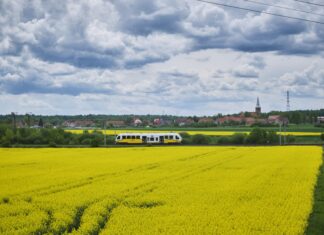 Koleje Dolnośląskie ruszają do Świnoujścia. Wakacyjna oferta połączeń nad morze z Wrocławia