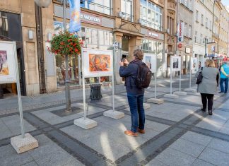Na ul. Oławskiej można obejrzeć wyjątkowe prace artystki z chorobą otępienną