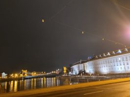 MPK pomaga łabędziom. Sieć trakcyjna bardziej widoczna dla ptaków
