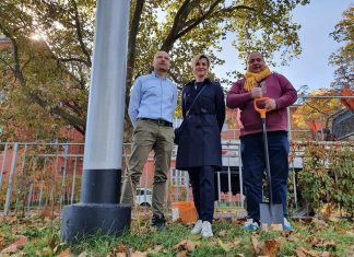 Jeszcze bardziej zielone linie tramwajowe. Słupy trakcyjne porosną bluszczem