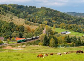 Kolejne przejazdy pociągiem retro i wydarzenia dla miłośników kolei we Wrocławiu!