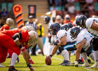 Panthers Wrocław zagra o pierwsze miejsce w tabeli na Stadionie Olimpijskim!