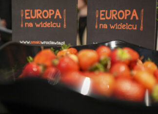 Wrocław: Rusza Europa na Widelcu 2022. Znamy pełen PROGRAM wydarzenia!