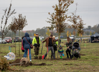 WROśnij we Wrocław: Wiosenna akcja sadzenia drzew dla nowonarodzonych dzieci