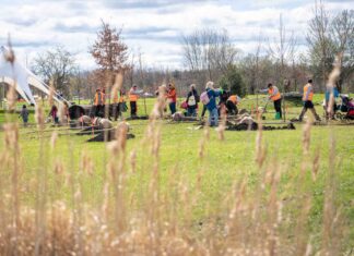 Rusza kolejna edycja akcji WROśnij we WROcław – posadź drzewo dla swojego dziecka