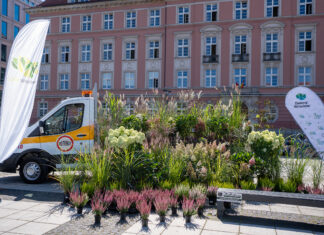 Symboliczne zniszczenie nawierzchni placu Nowy Targ – tak Wrocław kończy z betonem. Wkrótce znajdą się tam 63 tysiące roślin.