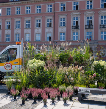 Symboliczne zniszczenie nawierzchni placu Nowy Targ – tak Wrocław kończy z betonem. Wkrótce znajdą się tam 63 tysiące roślin.