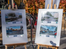 Likwidacja betonowych nawierzchni oraz plany zazielenienia Wrocławia