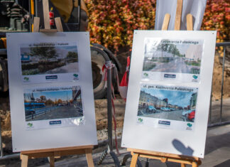 Likwidacja betonowych nawierzchni oraz plany zazielenienia Wrocławia