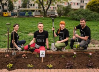 4 tysiące dla Przedmieścia Świdnickiego. Rusza ostatnia szansa na udział we Wrocławskiej Akademii Lokalnych Liderów