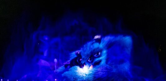 Tylko jedna taka noc w roku. Noc pokazów Fontanny Multimedialnej we Wrocławiu