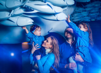 Hydropolis ponownie otwiera się dla gości!