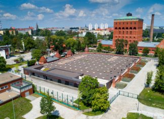 Zielony dach Hydropolis – pierwsza taka ścieżka sensoryczna we Wrocławiu