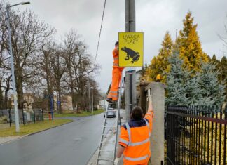 Wrocław: Uwaga płazy! Na Maślicach stanęły tablice chroniące żaby i ropuchy