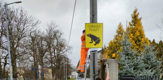 Wrocław: Uwaga płazy! Na Maślicach stanęły tablice chroniące żaby i ropuchy