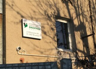 Wrocław przekazał działkę EKOSTRAŻY. Od 15 lat stowarzyszenie ratuje życie i zdrowie zwierząt w naszym mieście.