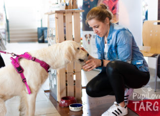 PupiLove Targi po raz drugi we Wrocławiu – zabierz psa lub kota na zakupy!