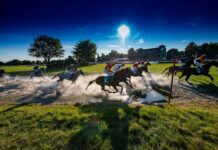 Na wrocławskie Partynice wracają wyścigi konne