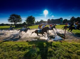 Na wrocławskie Partynice wracają wyścigi konne