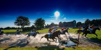 Na wrocławskie Partynice wracają wyścigi konne