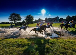 Na wrocławskie Partynice wracają wyścigi konne
