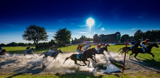 Na wrocławskie Partynice wracają wyścigi konne