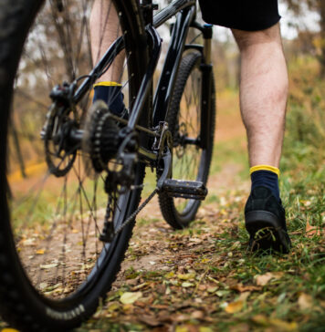 Uniwersalny rower na różne nawierzchnie. Czy taki w ogóle istnieje?
