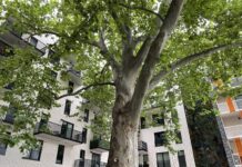 08. Diabła adwokatura i sądownictwo, czyli nowe budownictwo. Tumskie Ogrody 2