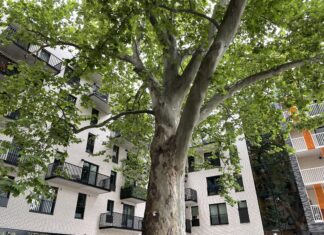 08. Diabła adwokatura i sądownictwo, czyli nowe budownictwo. Tumskie Ogrody 2