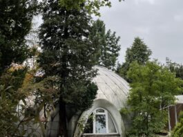 Wrocław: Dom Igloo. Oryginalny pomysł czy ekstrawagancki wymysł? Historia, która kryje się za ścianami