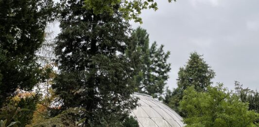 Wrocław: Dom Igloo. Oryginalny pomysł czy ekstrawagancki wymysł? Historia, która kryje się za ścianami