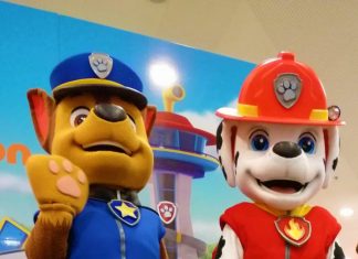 Psi Patrol w Arkadach Wrocławskich – zrób zakupy i odbierz wejściówki!