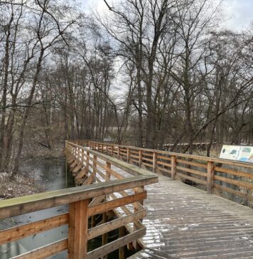 Swojczyce – o długo nieznanym wrocławskim osiedlu, które łączy w sobie wiele dobrego i trochę złego.