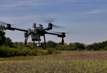 Wrocław pierwszy w Polsce odkomarza z pomocą drona!