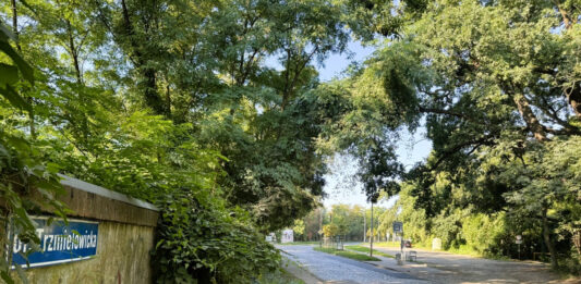 Ulica Trzmielowicka będzie wyremontowana: Raport z inwestycji we Wrocławiu