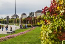 Ponad 100 bezpłatnych spacerów z przewodnikiem po Wrocławiu