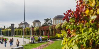 Ponad 100 bezpłatnych spacerów z przewodnikiem po Wrocławiu
