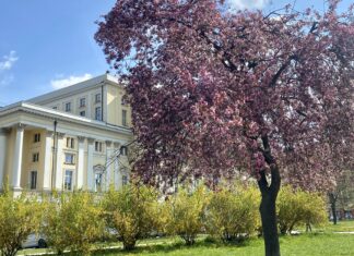 Majówka we Wrocławiu 2022. Co będzie otwarte? Lista miejsc, atrakcji