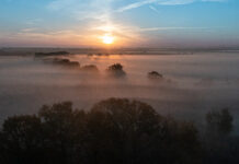 Pierwszy rezerwat przyrody we Wrocławiu coraz bliżej – gdzie powstanie?