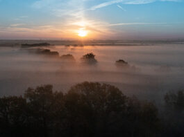 Pierwszy rezerwat przyrody we Wrocławiu coraz bliżej – gdzie powstanie?