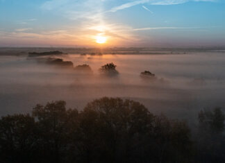 Pierwszy rezerwat przyrody we Wrocławiu coraz bliżej – gdzie powstanie?