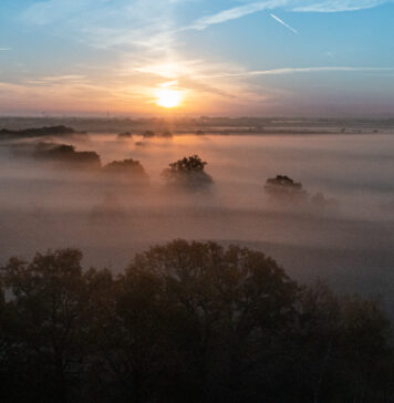 Pierwszy rezerwat przyrody we Wrocławiu coraz bliżej – gdzie powstanie?