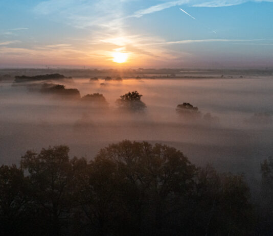 Pierwszy rezerwat przyrody we Wrocławiu coraz bliżej – gdzie powstanie?