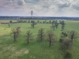 We Wrocławiu szykuje się niezwykła przemiana. Dawna oczyszczalnia może stać się przyrodniczym skarbem miasta