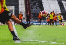 Jak przygotowują się reprezentacje – o kulisach treningów i analizy rywali